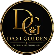 Daxigolden Logo